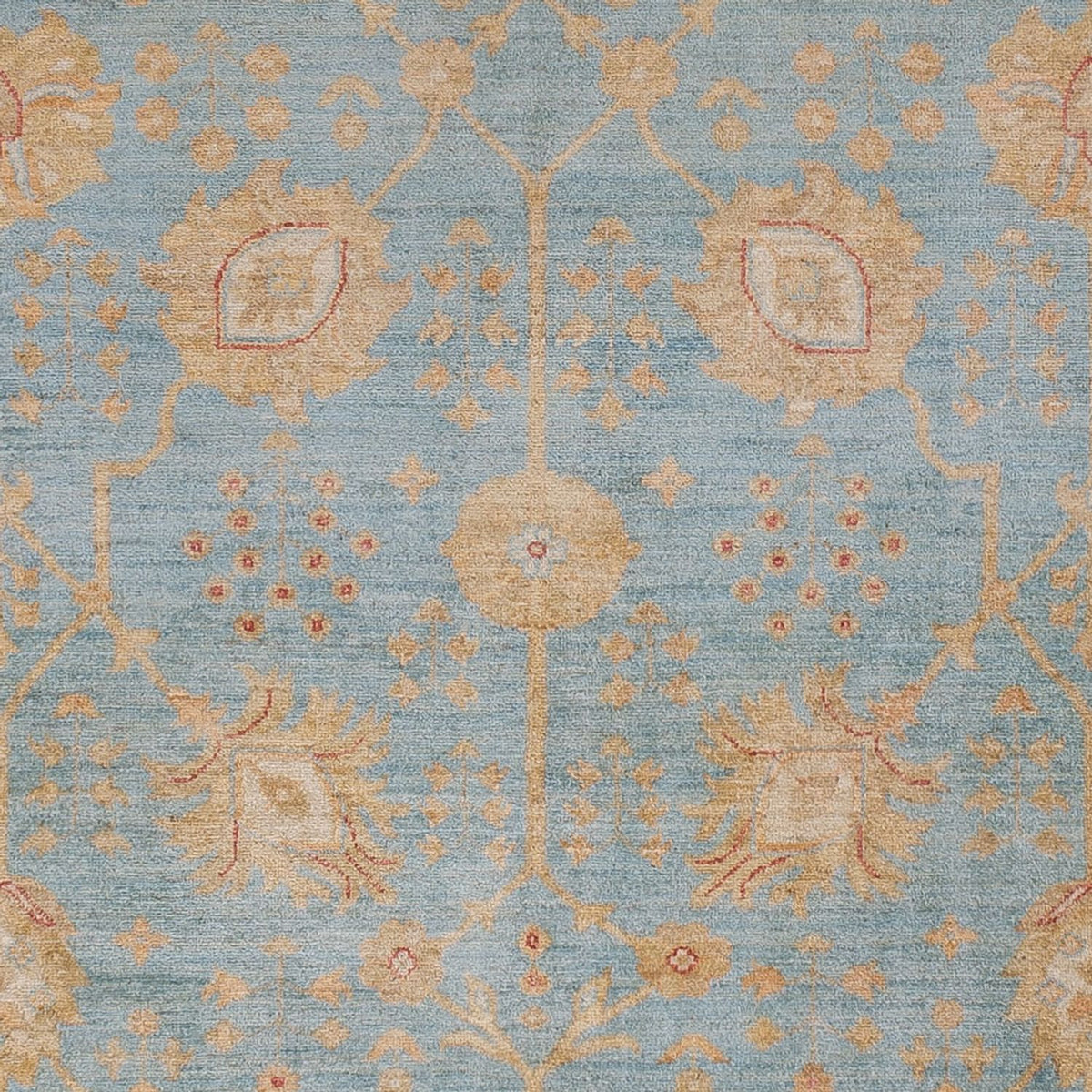 Tapis Ziegler - 299 x 253 cm - bleu clair