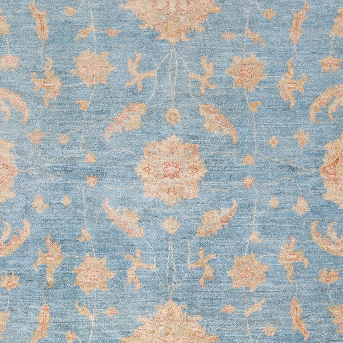 Tapis Ziegler - Moderne - 309 x 252 cm - bleu clair