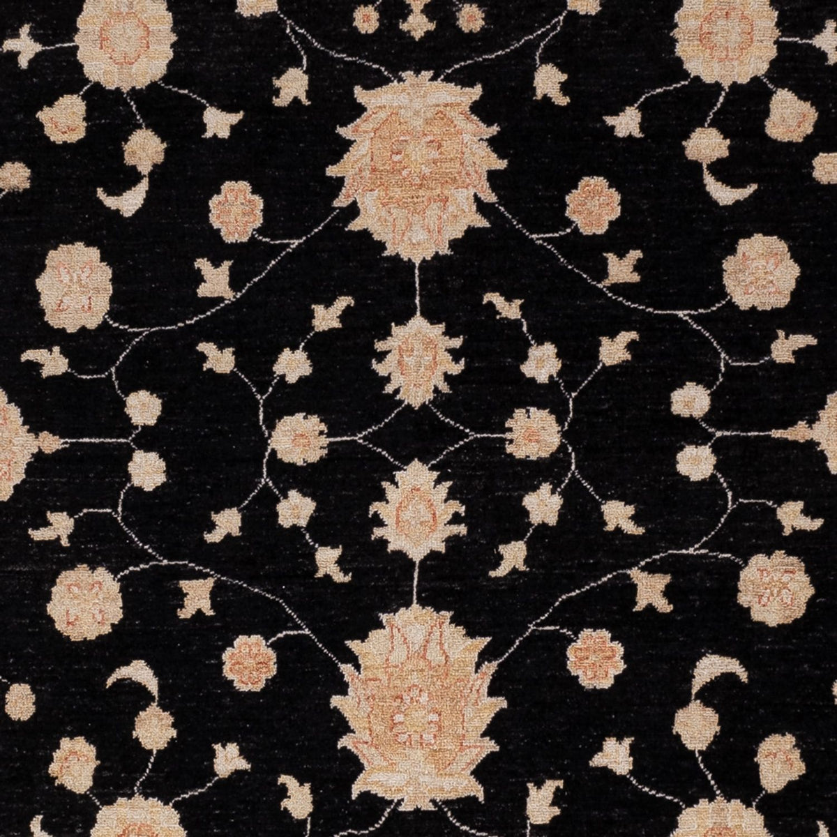 Tapis Ziegler - 303 x 258 cm - noir