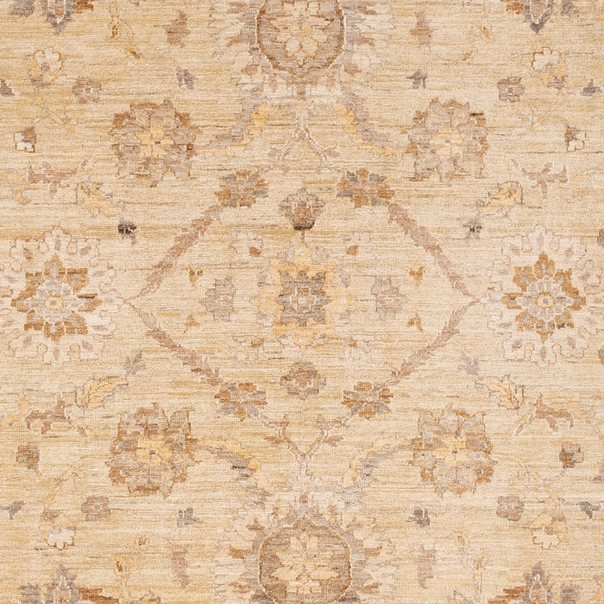Tapis Ziegler - 290 x 244 cm - beige