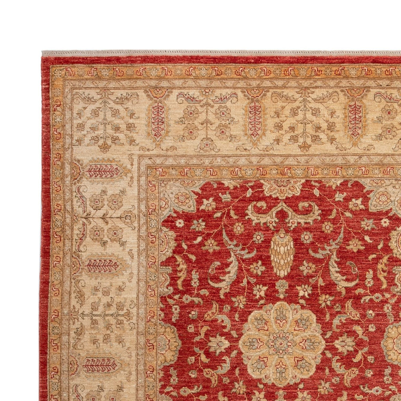Ariana Tapis 304x245cm - Tapis oriental