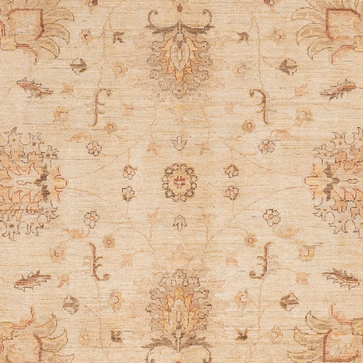 Tapis Ziegler - 298 x 241 cm - beige