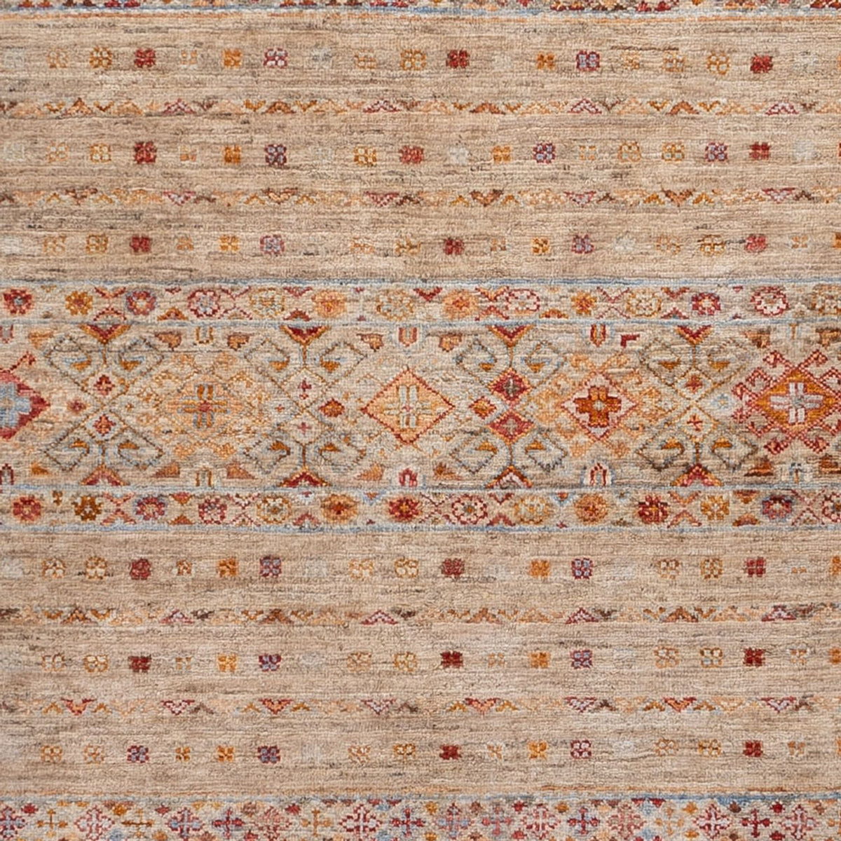 Tapis Ziegler - Shal - 237 x 174 cm - beige