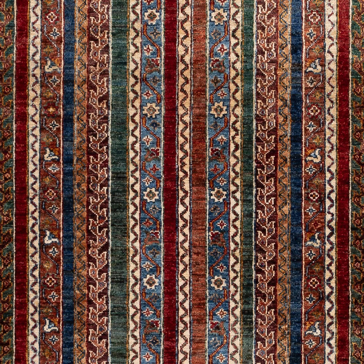 Tapis Ziegler - Shal - 241 x 173 cm - multicolore