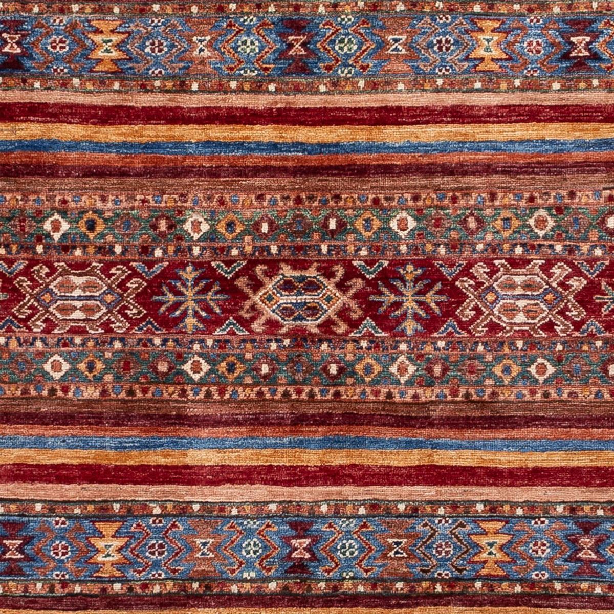 Tapis Ziegler - Shal - 241 x 165 cm - multicolore