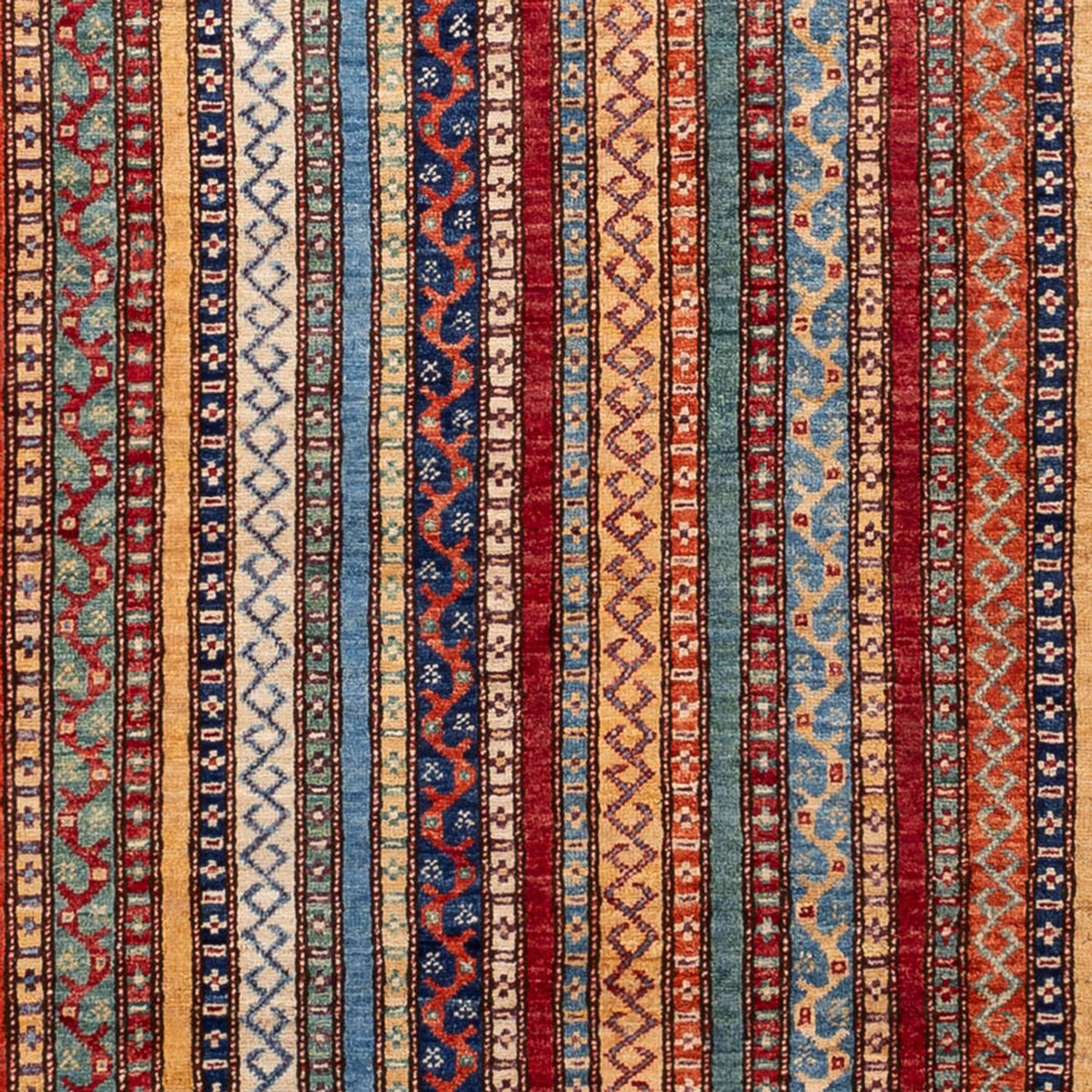 Tapis Ziegler - Shal - 237 x 171 cm - multicolore