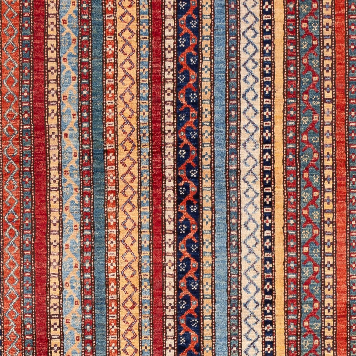 Tapis Ziegler - Shal - 237 x 170 cm - multicolore