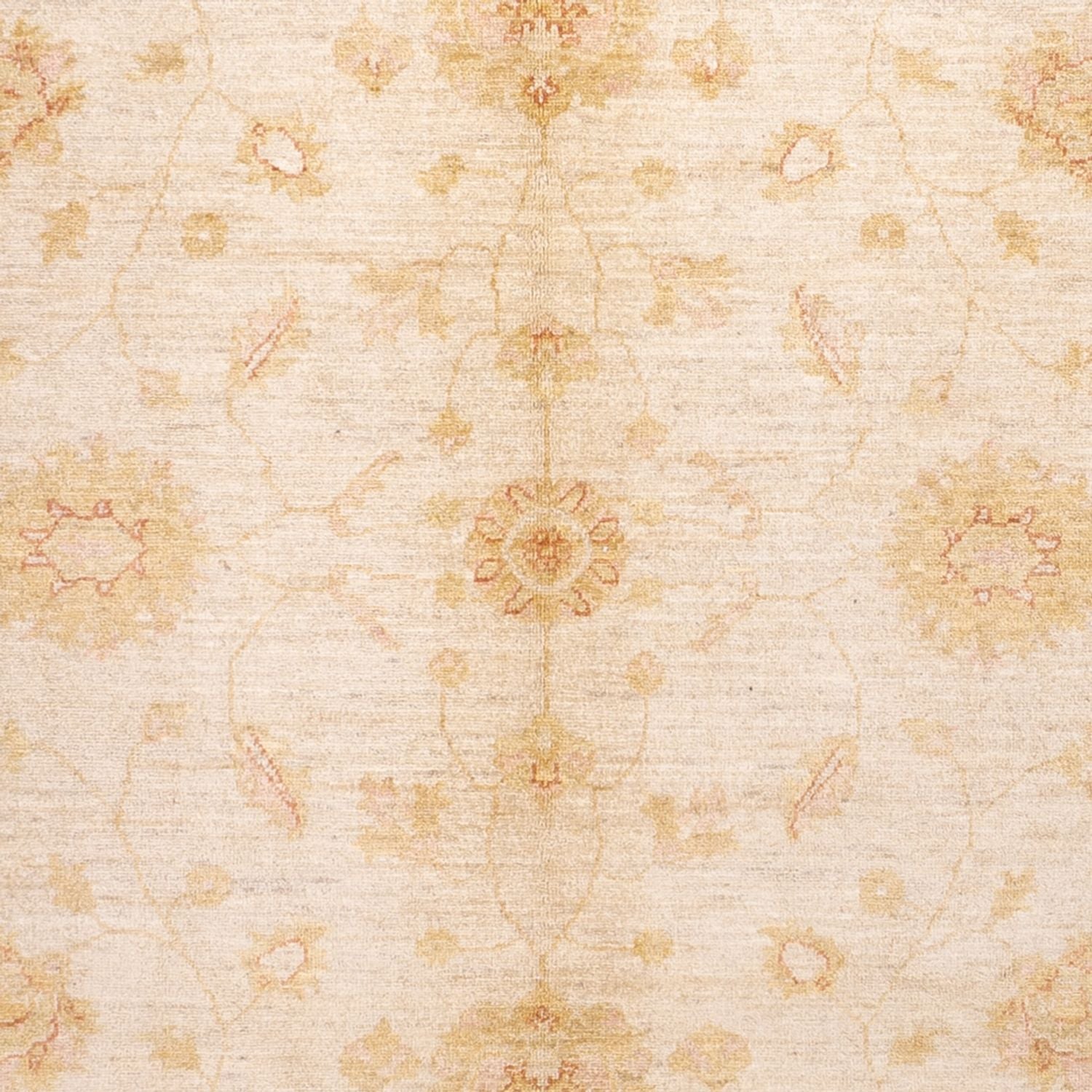 Tapis Ziegler - 294 x 205 cm - beige