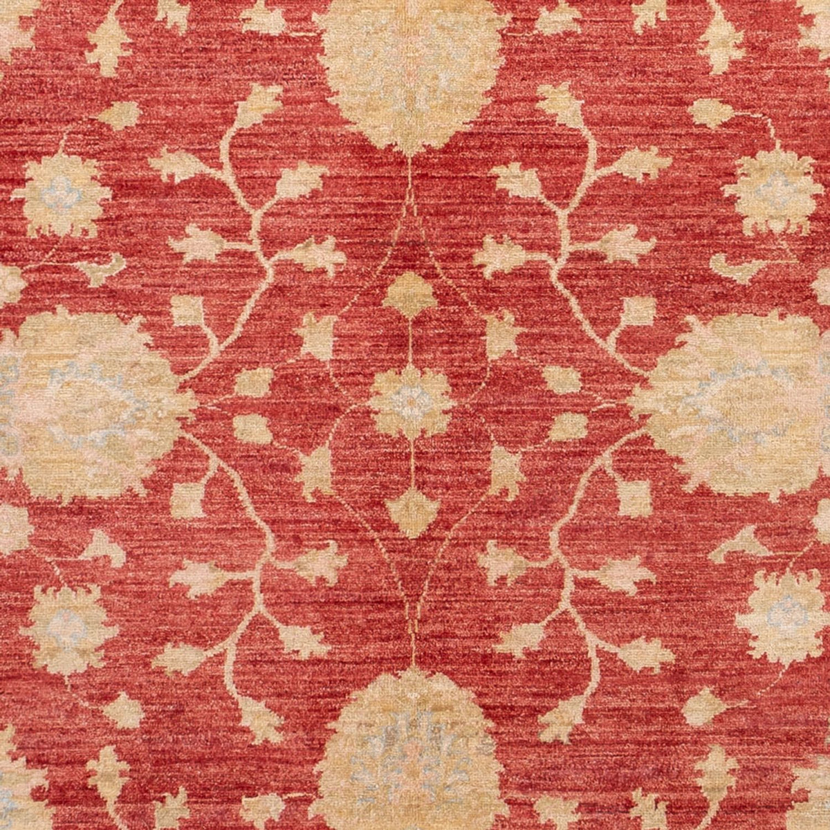 Tapis Ziegler - 291 x 207 cm - rouge