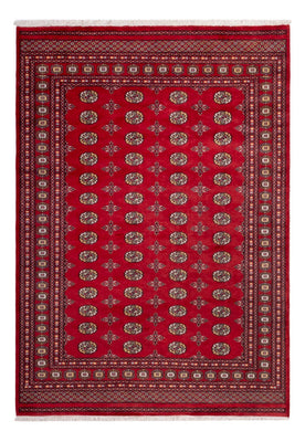 Tapis afghan - Boukhara - 292 x 206 cm - rouge