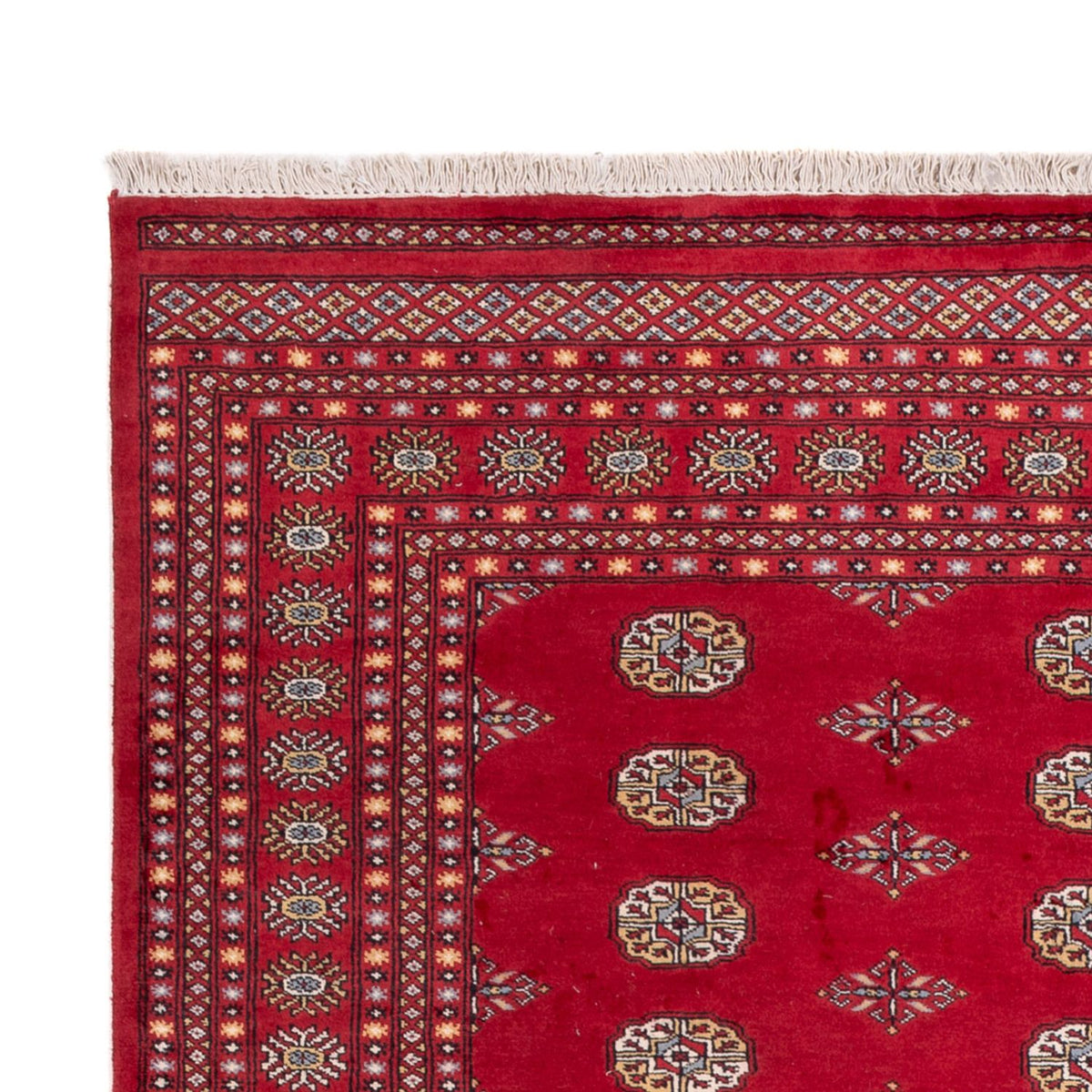 Tapis afghan - Boukhara - 307 x 201 cm - rouge