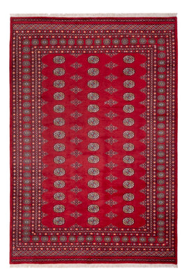 Tapis afghan - Boukhara - 300 x 201 cm - rouge