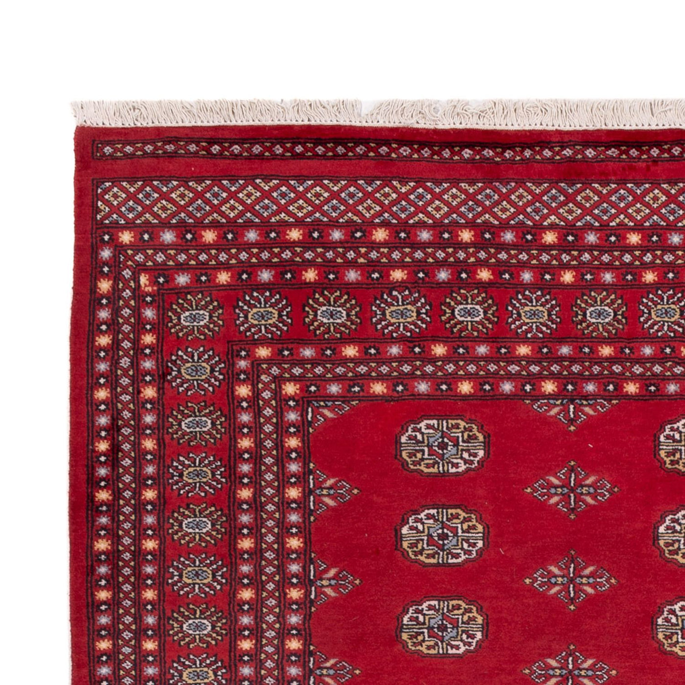 Tapis de Boukhara Tapis 300x201cm - Tapis oriental