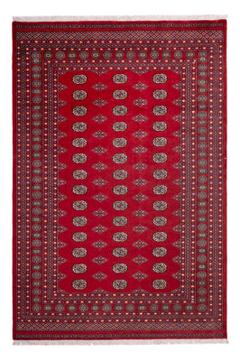 Tapis afghan - Boukhara - 302 x 200 cm - rouge