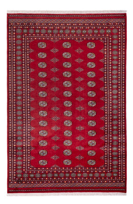 Tapis afghan - Boukhara - 294 x 198 cm - rouge