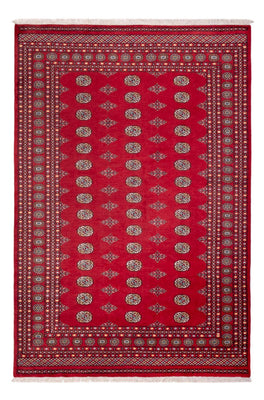 Tapis afghan - Boukhara - 304 x 206 cm - rouge