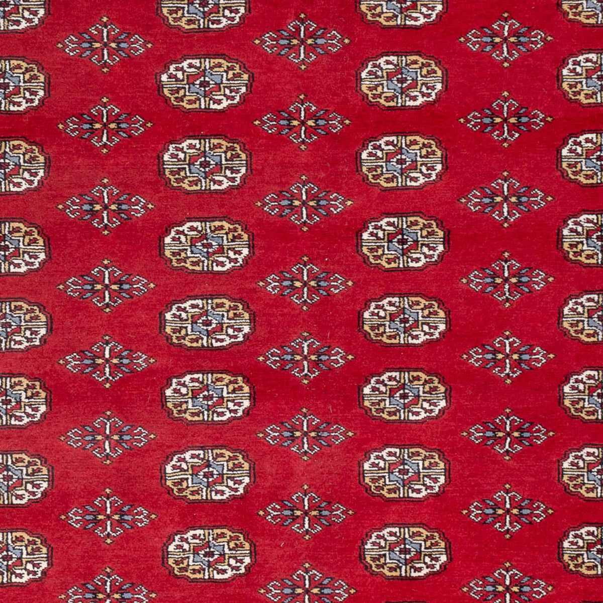 Tapis afghan - Boukhara - 313 x 207 cm - rouge