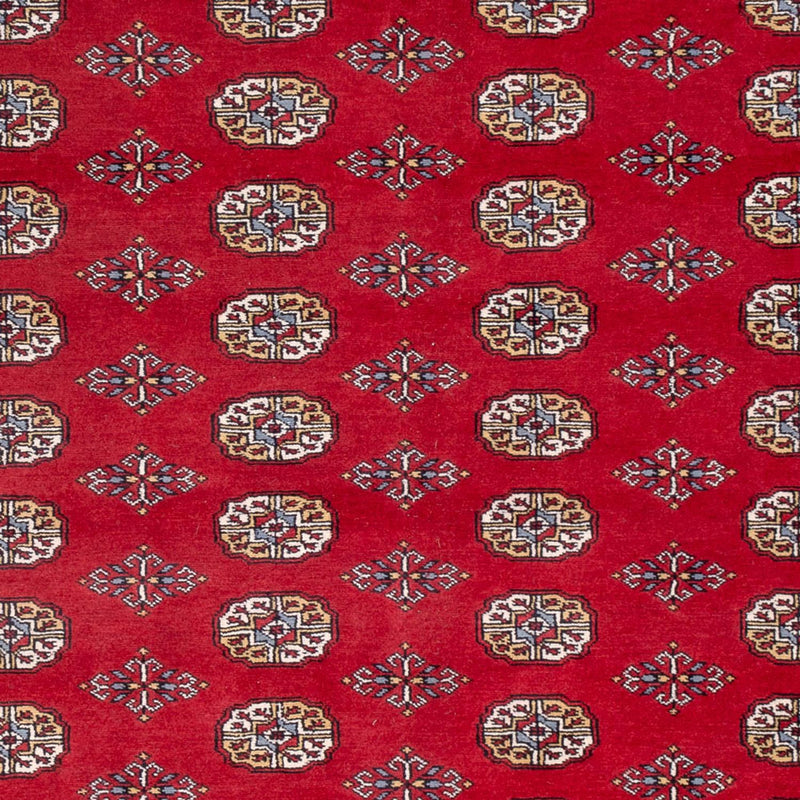 Afghan Teppich - Buchara - 313 x 207 cm - rot