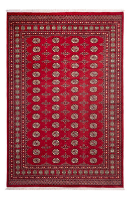 Tapis afghan - Boukhara - 318 x 210 cm - rouge