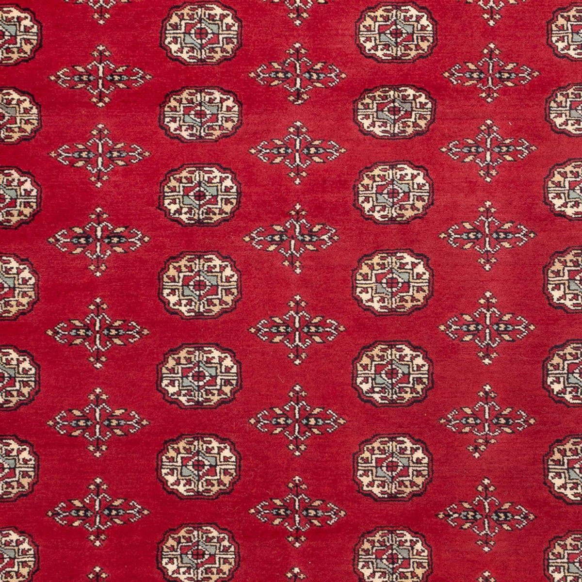 Tapis afghan - Boukhara - 318 x 210 cm - rouge