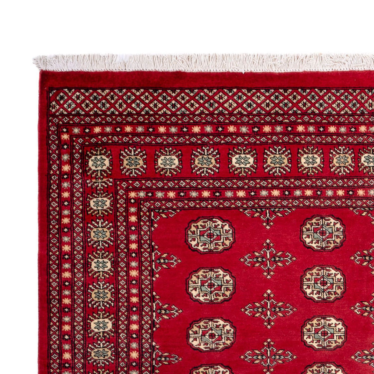 Tapis afghan - Boukhara - 318 x 210 cm - rouge
