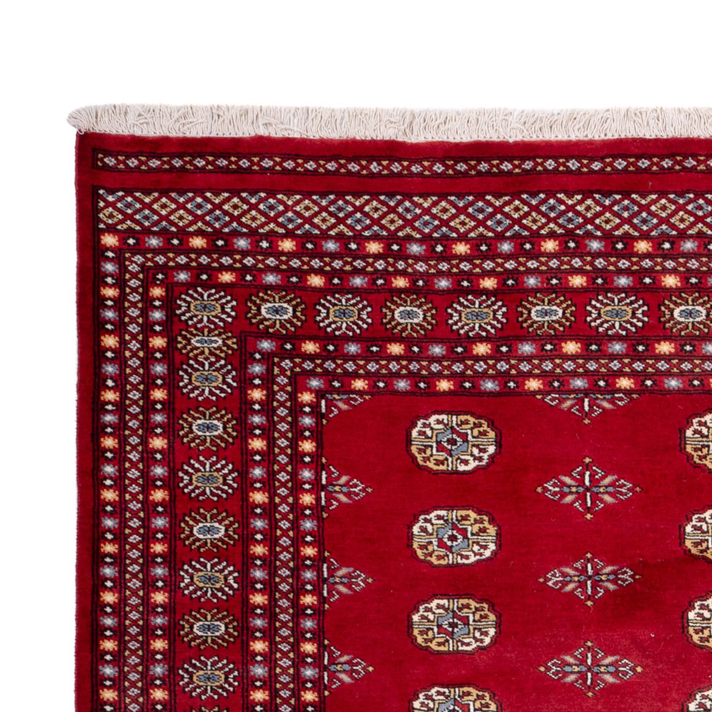 Tapis de Boukhara Tapis 308x207cm - Tapis oriental