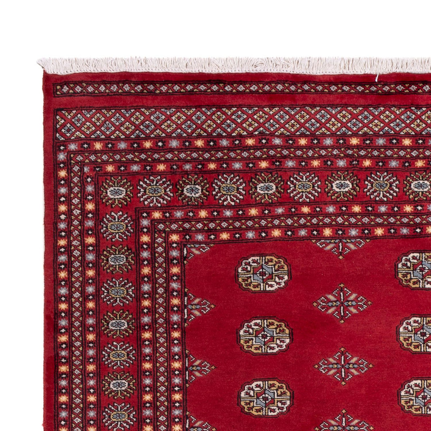 Tapis de Boukhara Tapis 306x202cm - Tapis oriental