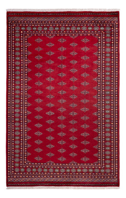 Tapis afghan - Boukhara - 317 x 204 cm - rouge