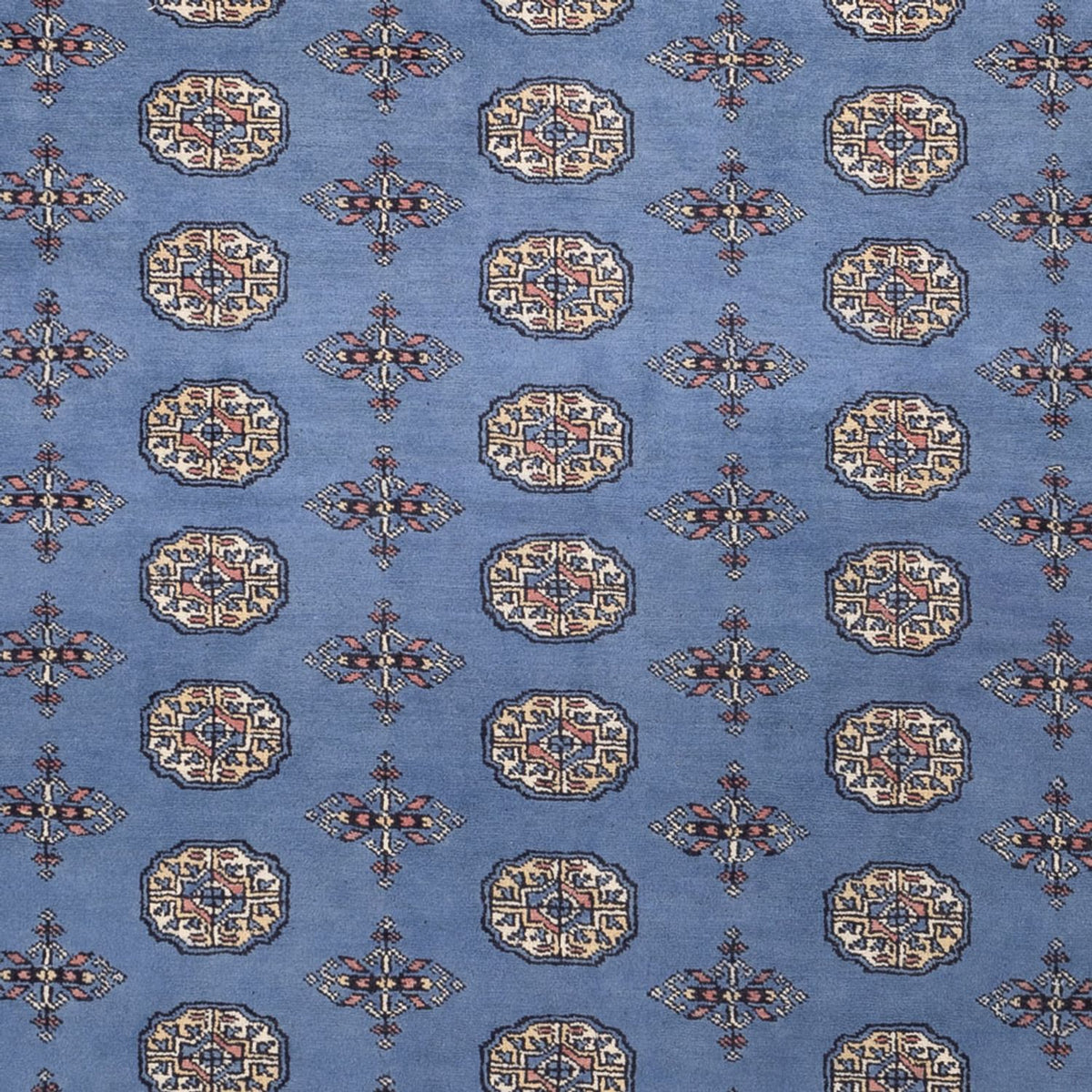 Tapis afghan - Boukhara - 305 x 249 cm - bleu