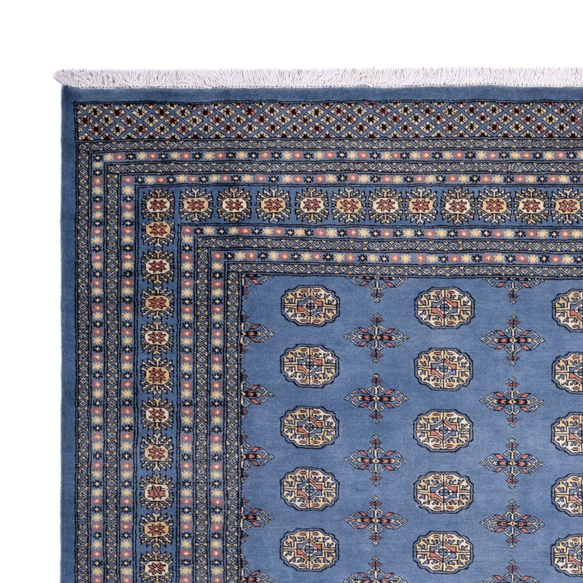 Tapis afghan - Boukhara - 305 x 249 cm - bleu