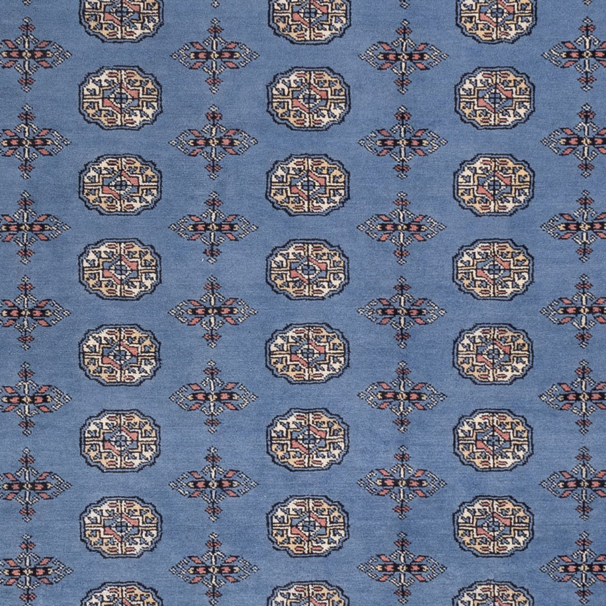 Tapis afghan - Boukhara - 297 x 250 cm - bleu