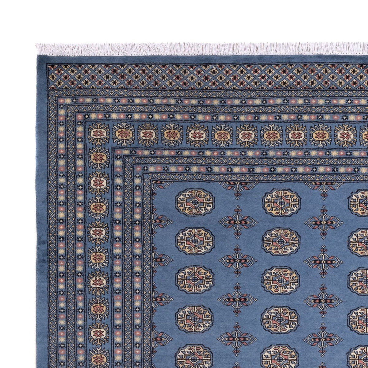 Tapis afghan - Boukhara - 297 x 250 cm - bleu