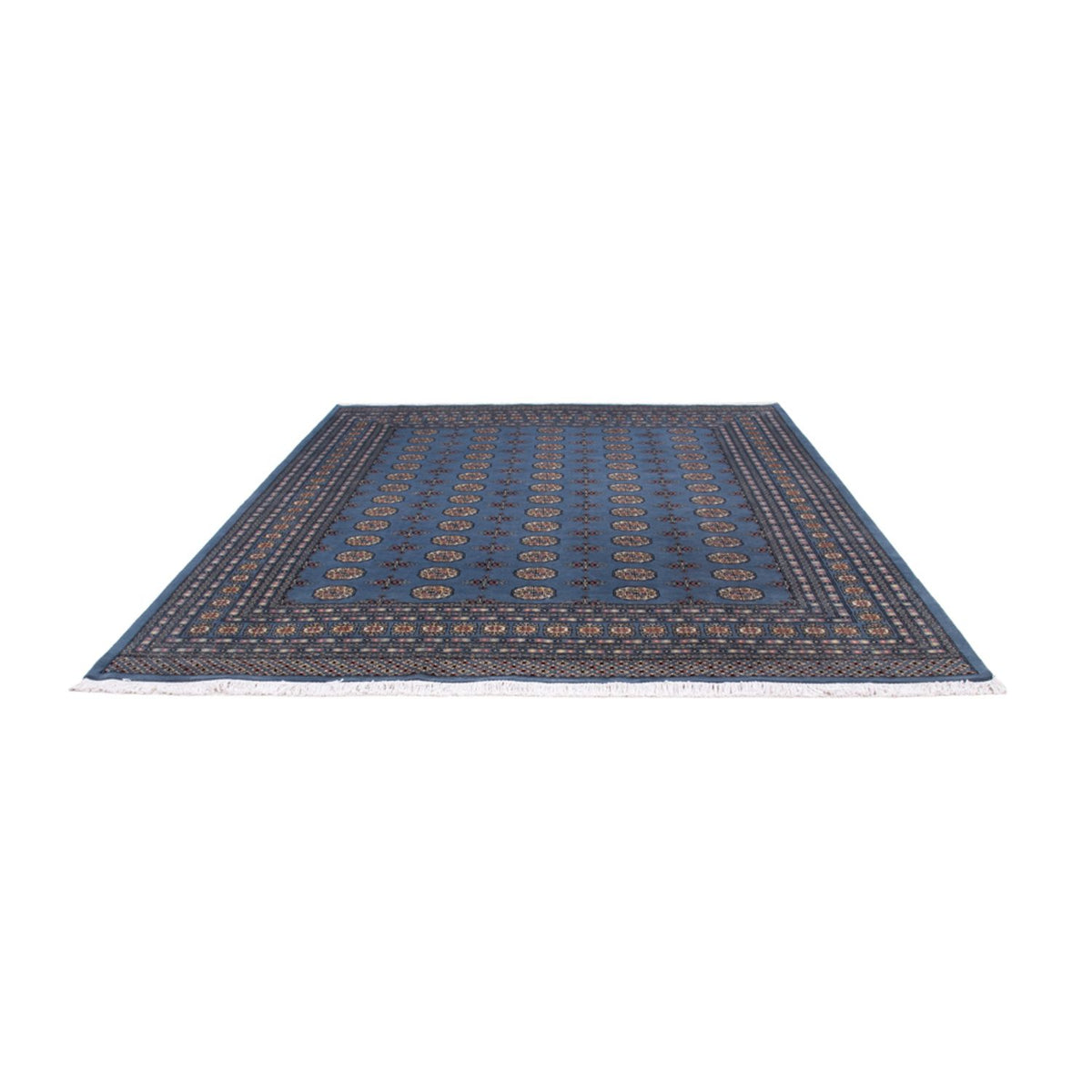 Tapis afghan - Boukhara - 297 x 250 cm - bleu
