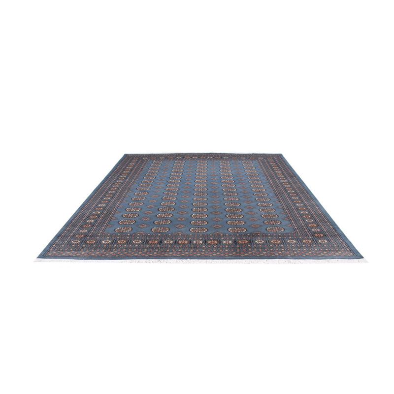 Afghan Teppich - Buchara - 305 x 249 cm - hellblau