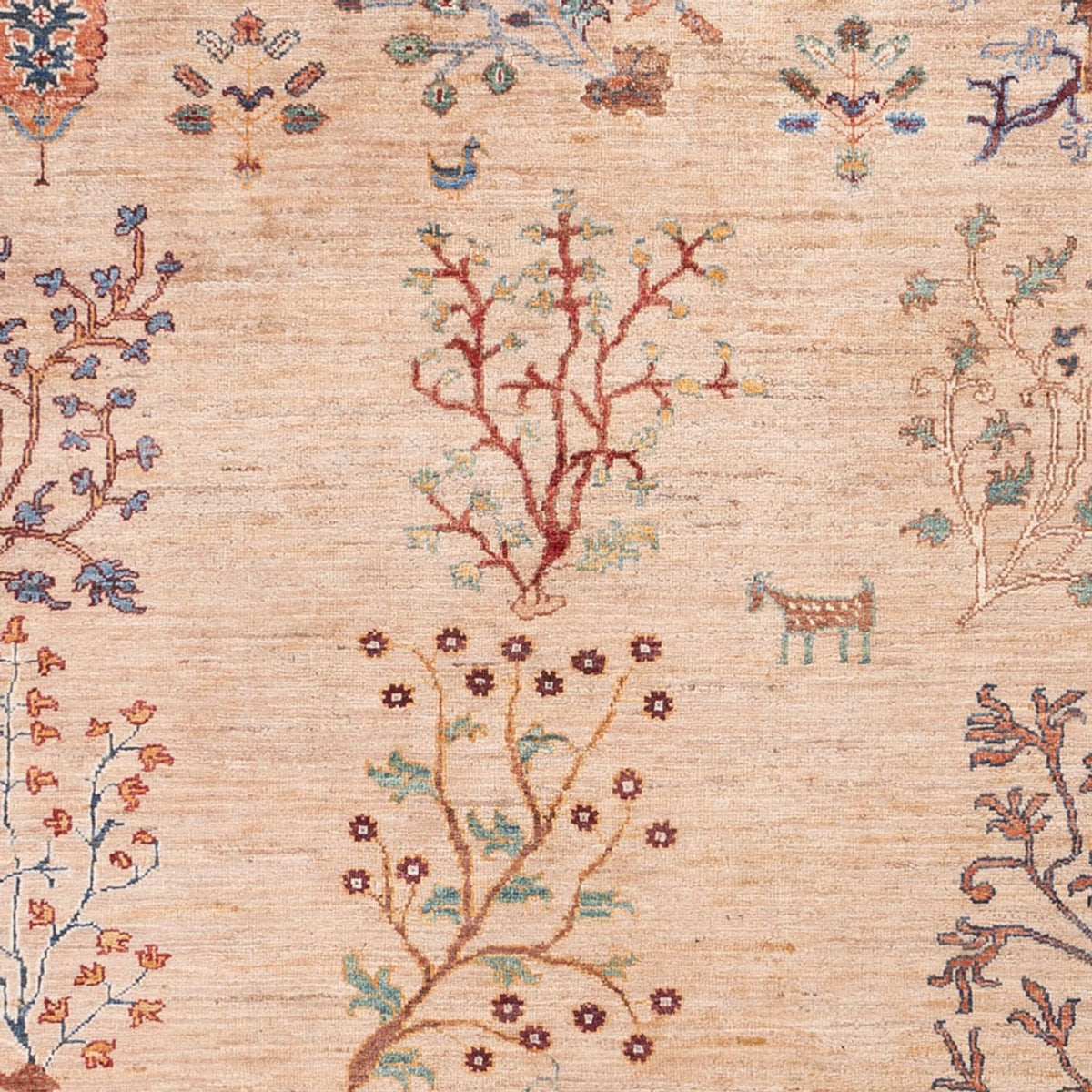 Tapis Ziegler - Ariana - 293 x 206 cm - beige clair