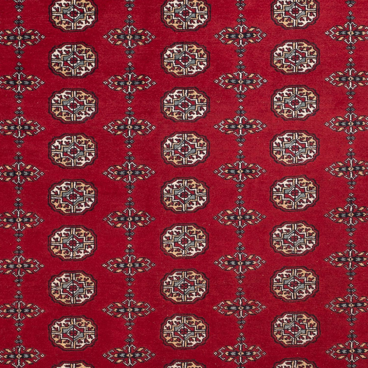 Tapis afghan - Boukhara - 309 x 246 cm - rouge
