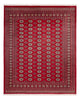 Tapis de Boukhara Tapis 305x244cm - Tapis oriental