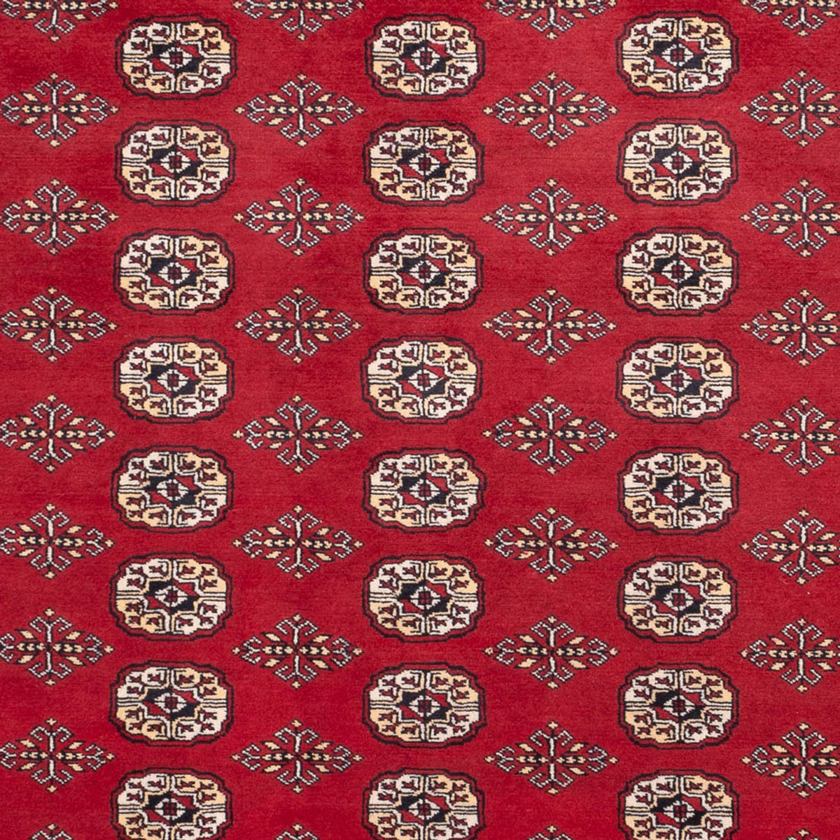 Tapis afghan - Boukhara - 305 x 244 cm - rouge