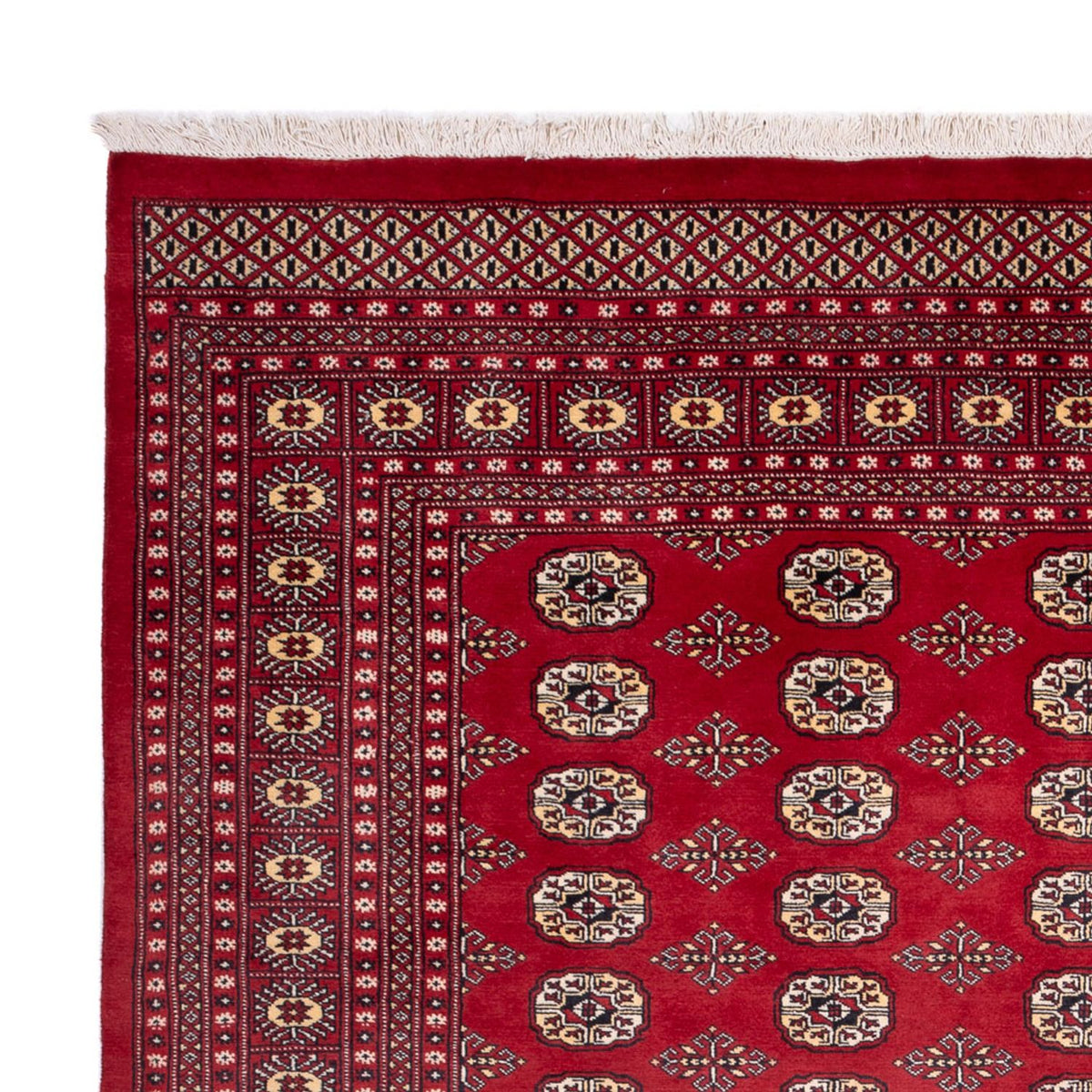 Tapis afghan - Boukhara - 305 x 244 cm - rouge