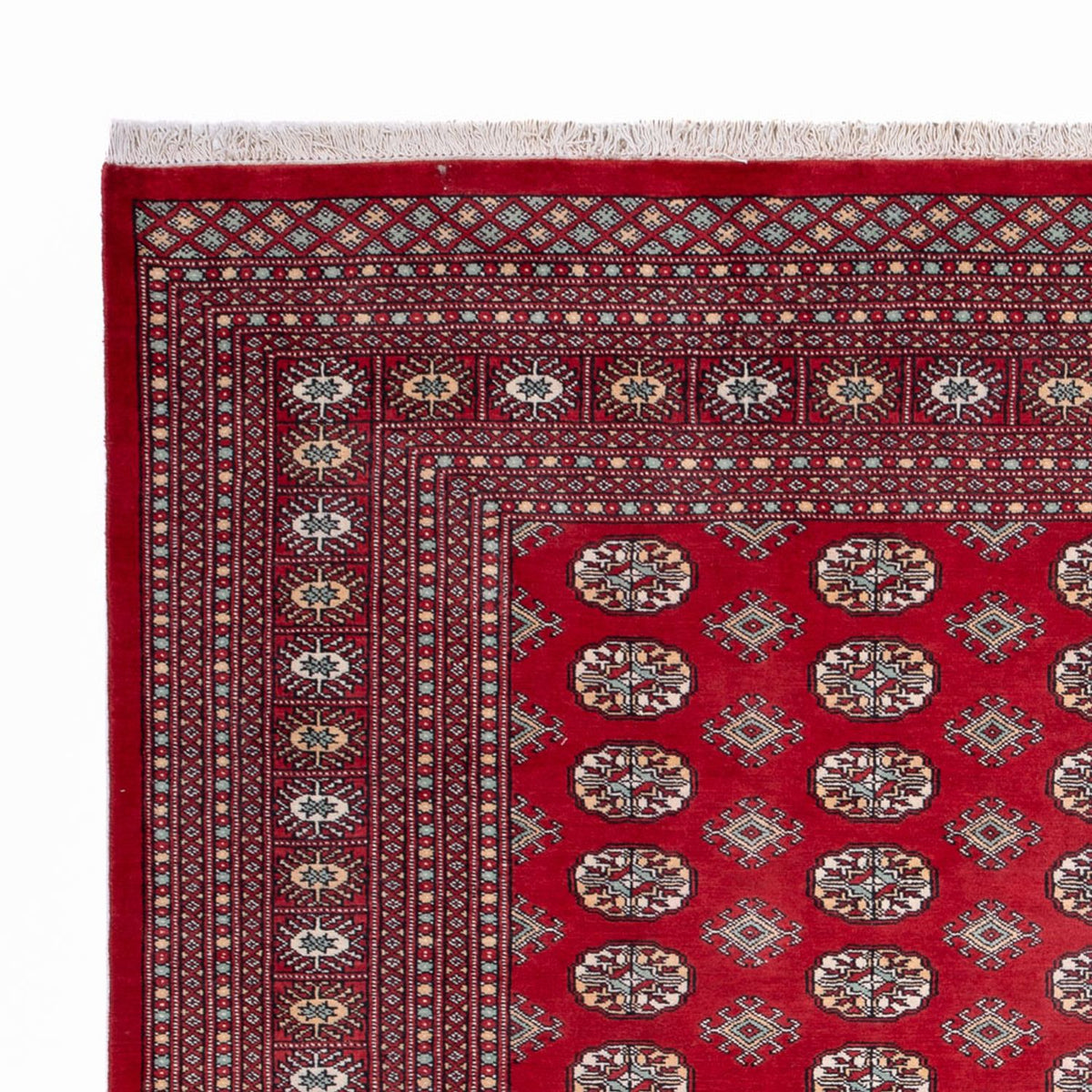 Tapis de Boukhara Tapis 250x296cm - Tapis oriental