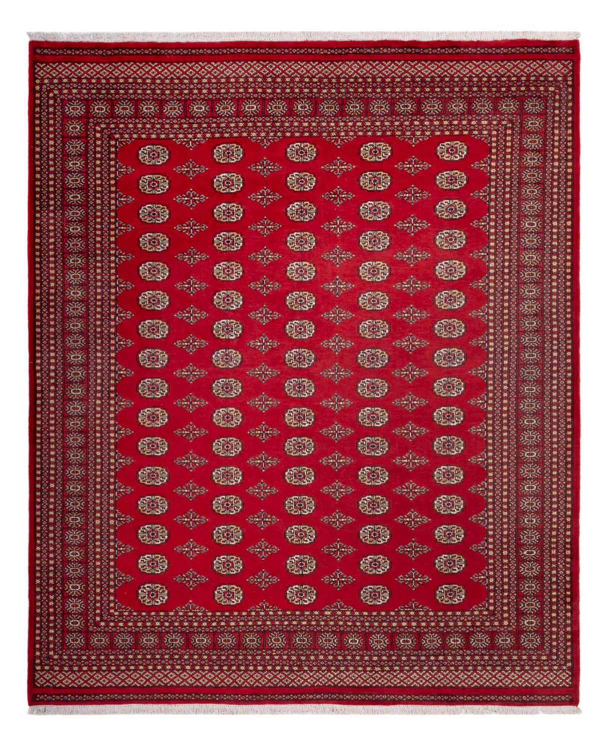 Afghan Teppich - Buchara - 305 x 252 cm - rot