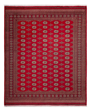 Afghan Teppich - Buchara - 305 x 252 cm - rot