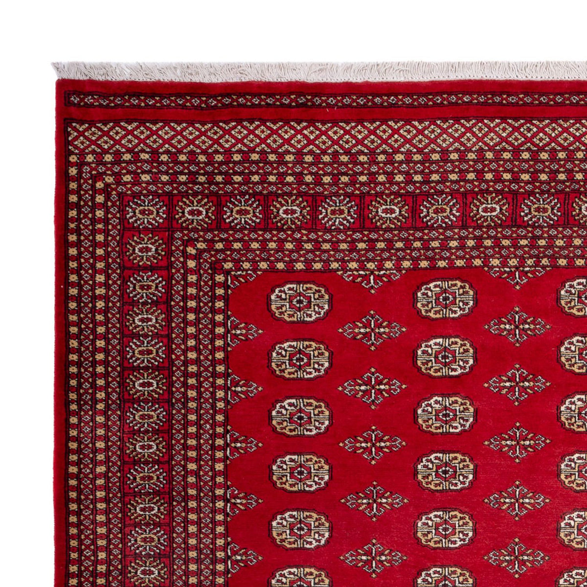Tapis afghan - Boukhara - 305 x 252 cm - rouge