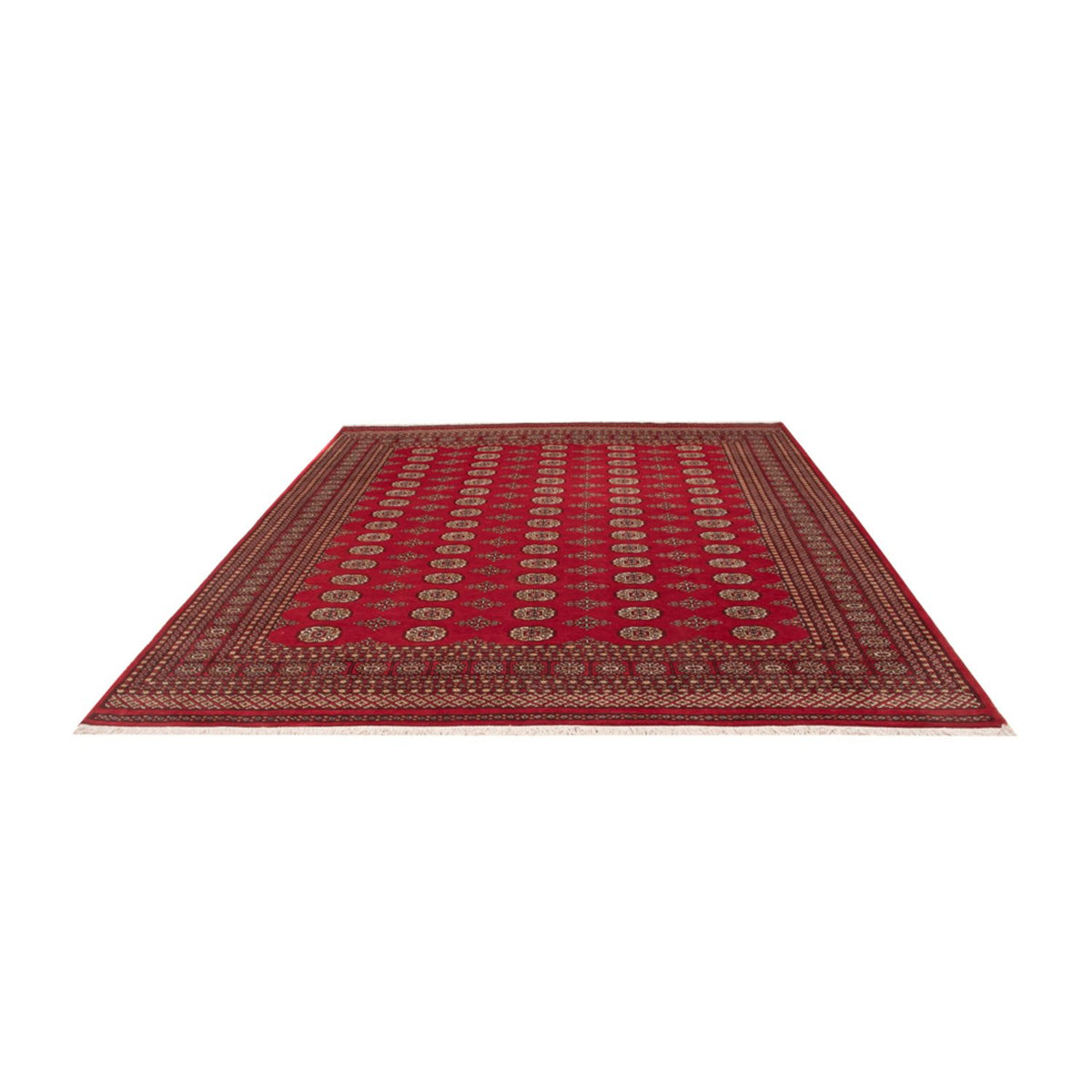Tapis afghan - Boukhara - 305 x 252 cm - rouge