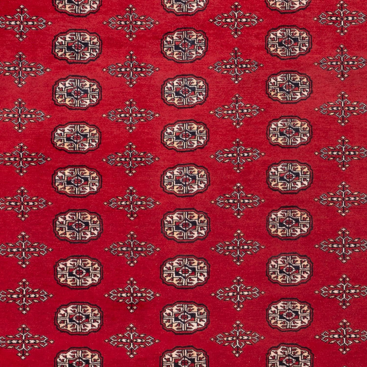 Afghan Teppich - Buchara - 319 x 250 cm - rot