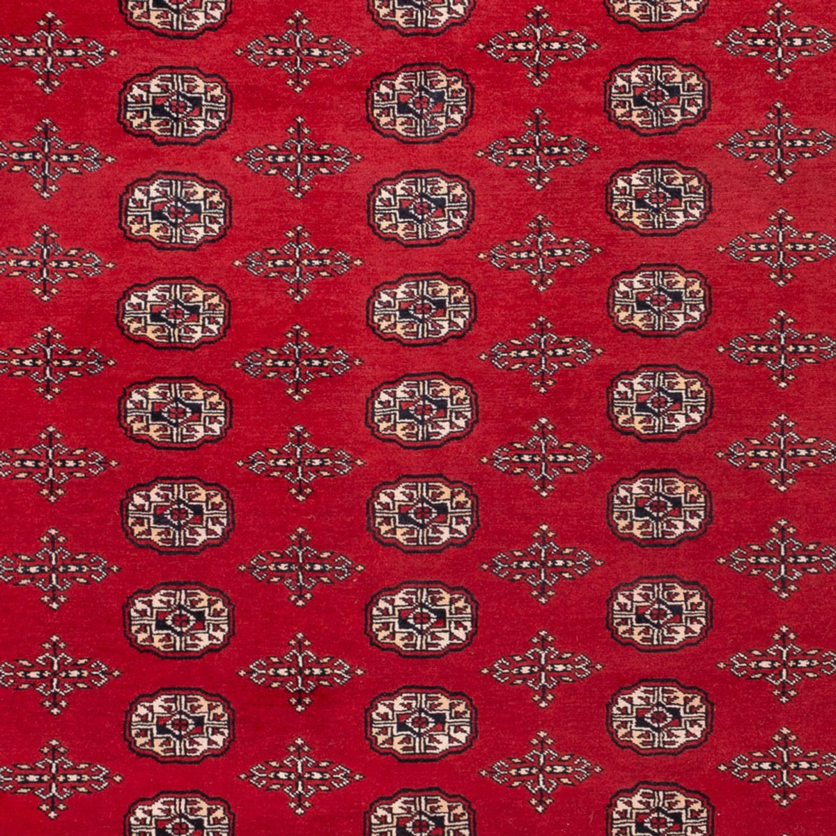 Tapis afghan - Boukhara - 319 x 250 cm - rouge