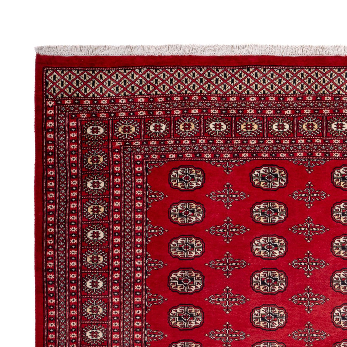 Tapis afghan - Boukhara - 319 x 250 cm - rouge
