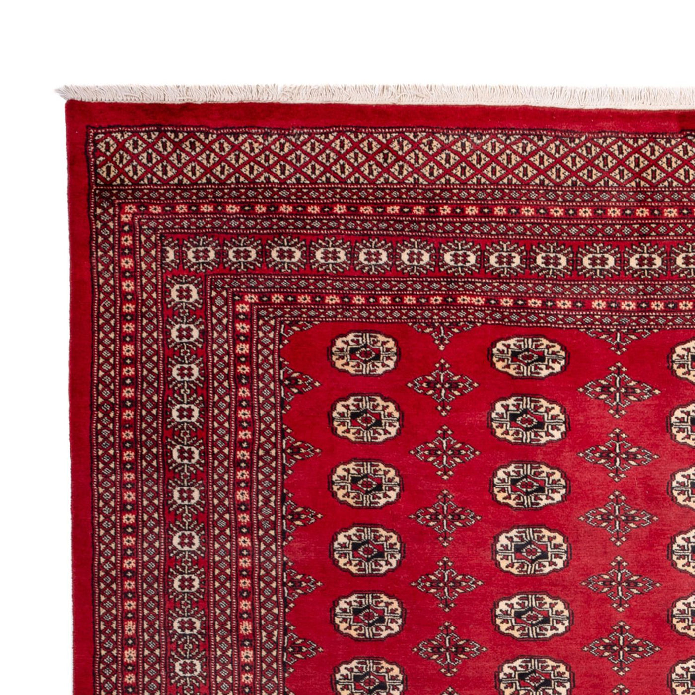 Tapis de Boukhara Tapis 309x248cm - Tapis oriental