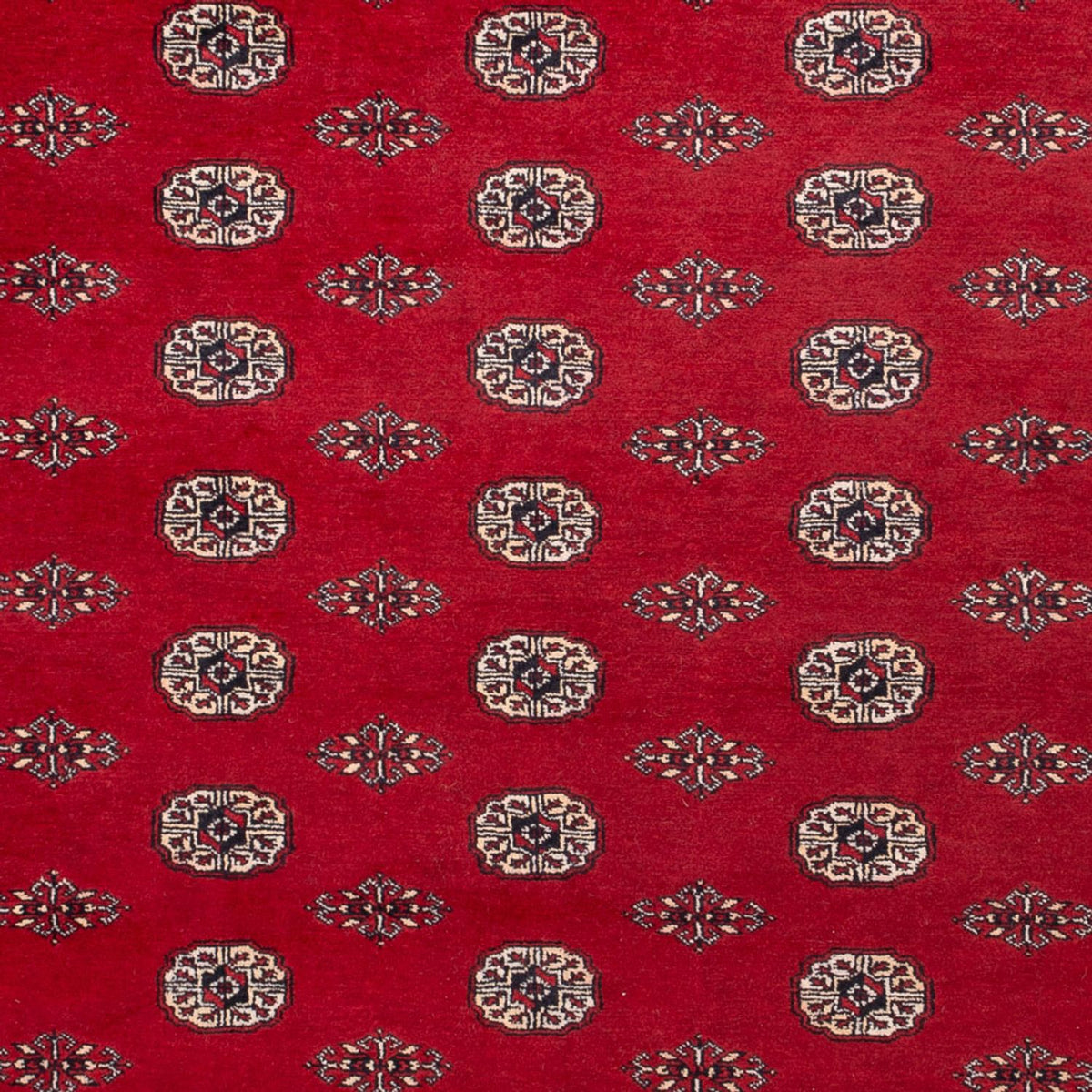 Tapis afghan - Boukhara - 323 x 248 cm - rouge