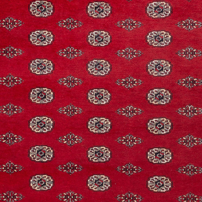Afghan Teppich - Buchara - 323 x 248 cm - rot